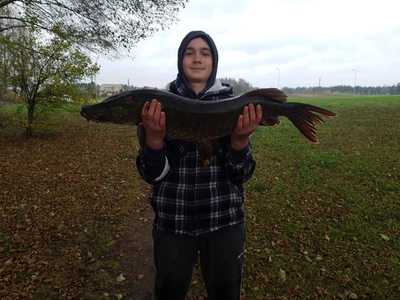 Northern Pike