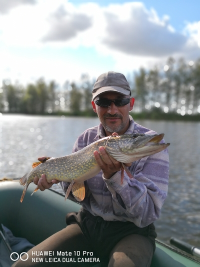 Northern Pike