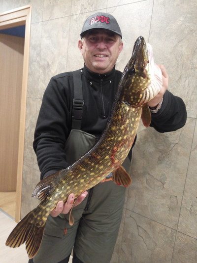 Northern Pike
