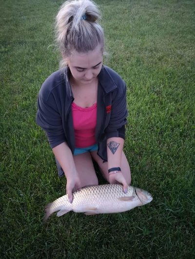 Grass carp