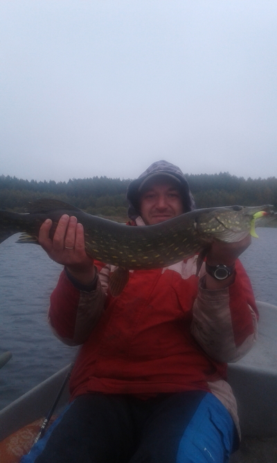 Northern Pike