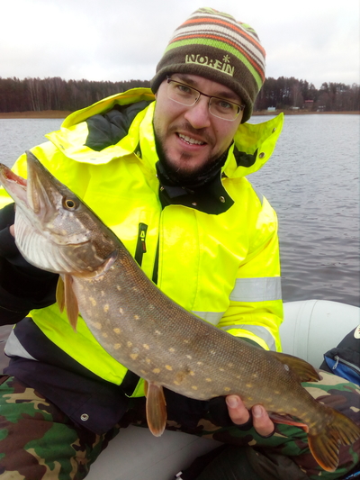 Northern Pike