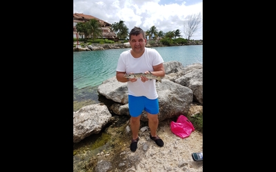 Great barracuda