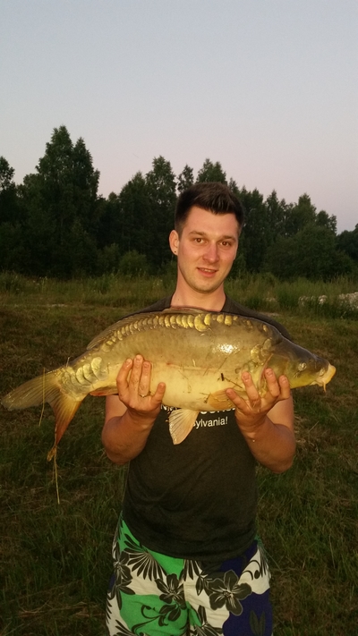 Mirror carp