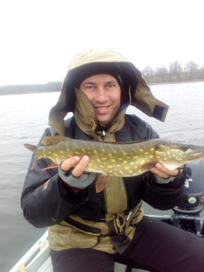 Northern Pike