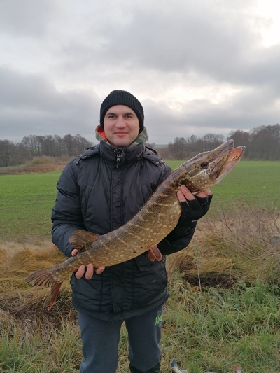 Northern Pike