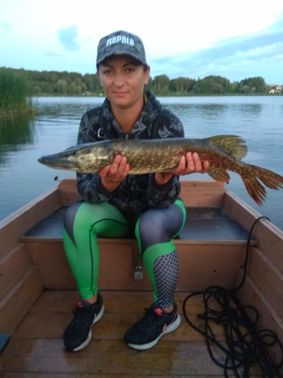 Northern Pike