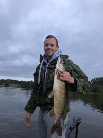 Northern Pike