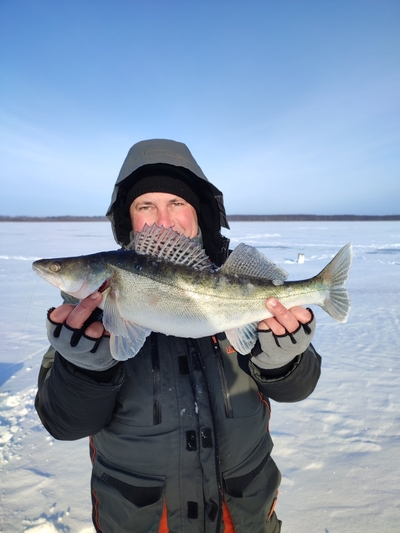Pike perch
