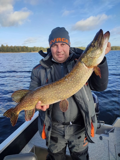 Northern Pike