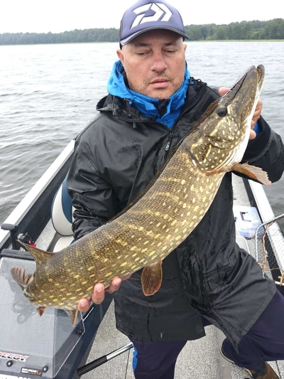 Northern Pike
