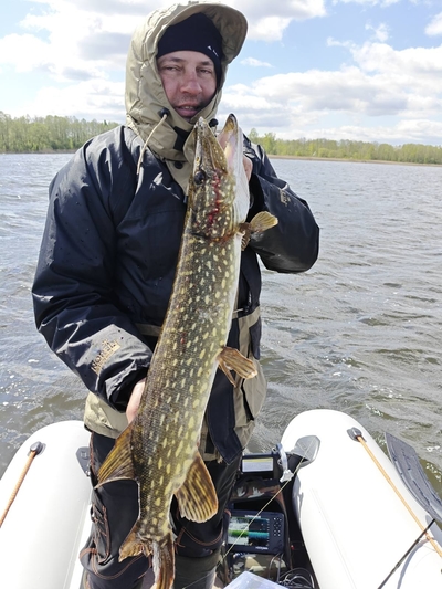Northern Pike