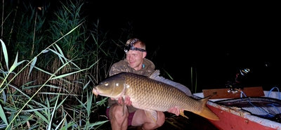 Carp