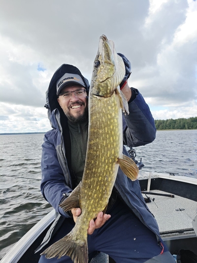 Northern Pike