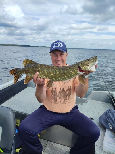 Northern Pike
