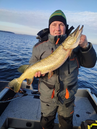 Northern Pike