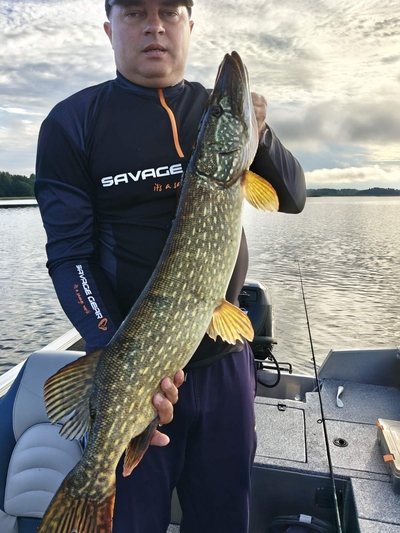 Northern Pike