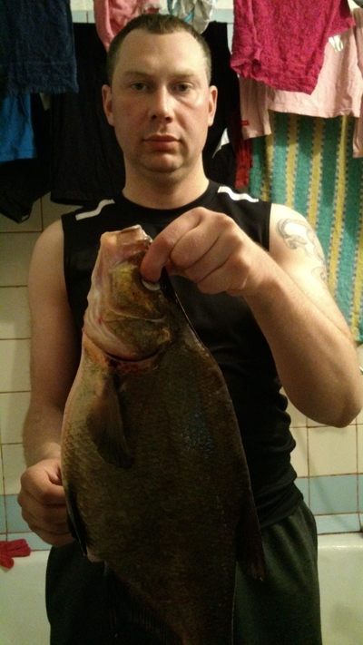 Carp bream