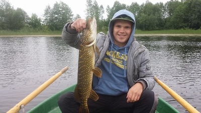 Northern Pike