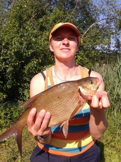 Carp bream