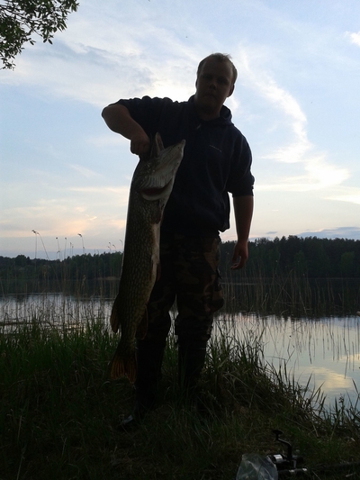 Northern Pike
