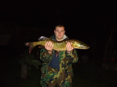 Northern Pike
