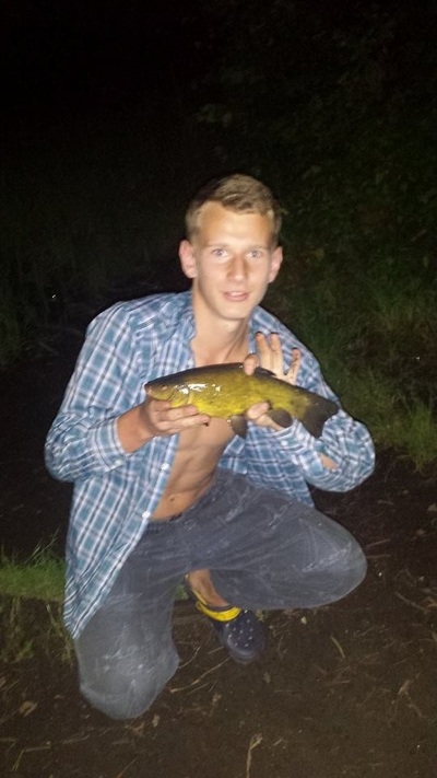 Tench