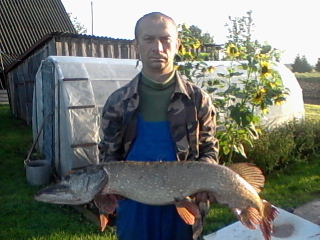 Northern Pike