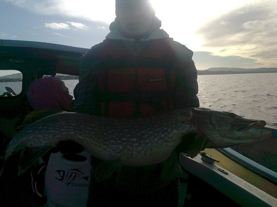 Northern Pike