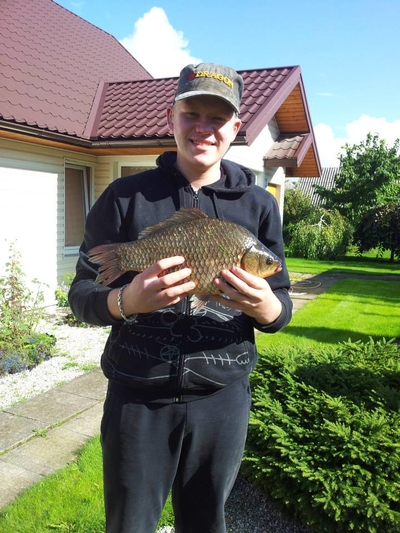 Crucian carp