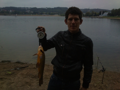 Tench