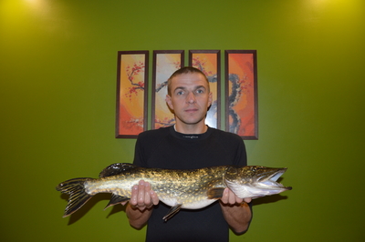 Northern Pike