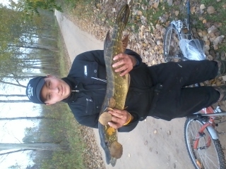 Northern Pike