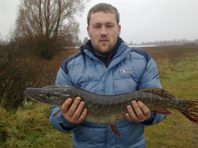 Northern Pike