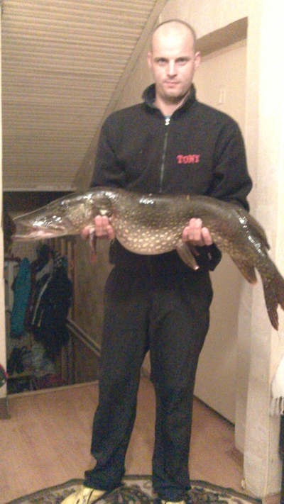 Northern Pike