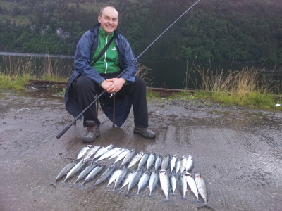 Mackerel