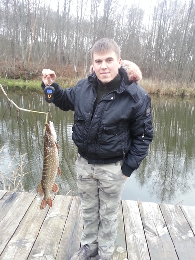 Northern Pike