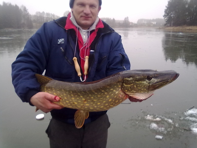 Northern Pike