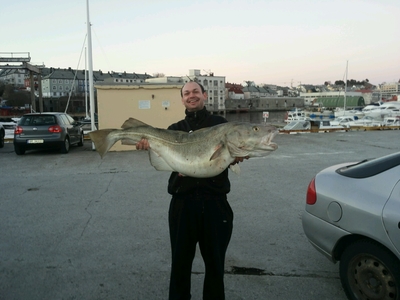 Atlantic cod