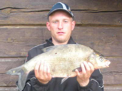 Carp bream