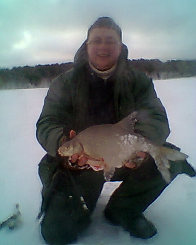 Carp bream