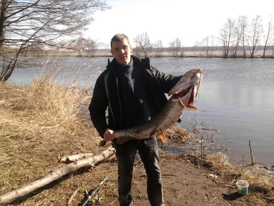 Northern Pike
