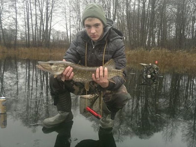 Northern Pike