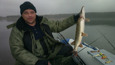 Northern Pike