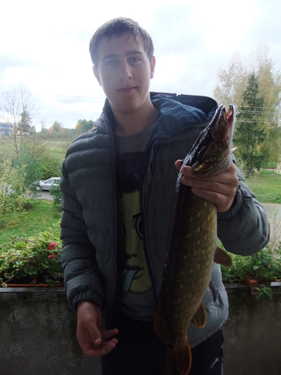 Northern Pike