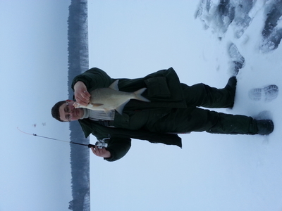 Carp bream