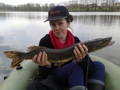 Northern Pike