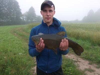 Tench