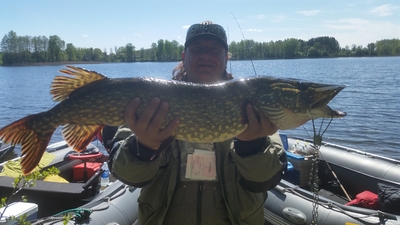 Northern Pike