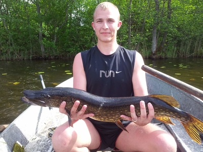 Northern Pike
